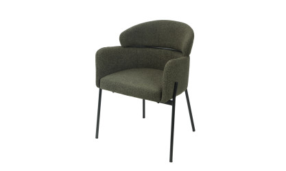 CANTON - Lot de 2 fauteuils de séjour Vert foncé 