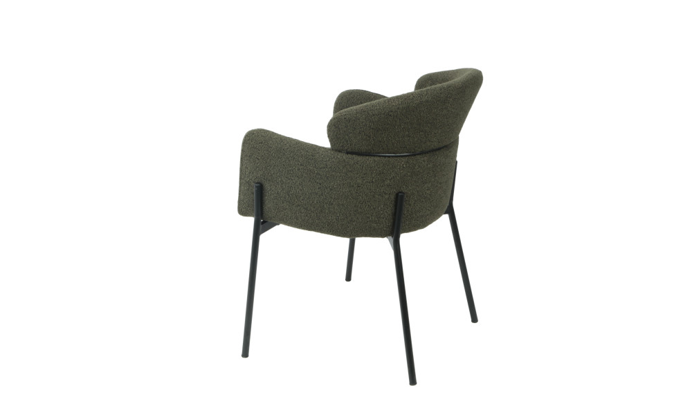 CANTON - Lot de 2 fauteuils de séjour Vert foncé 