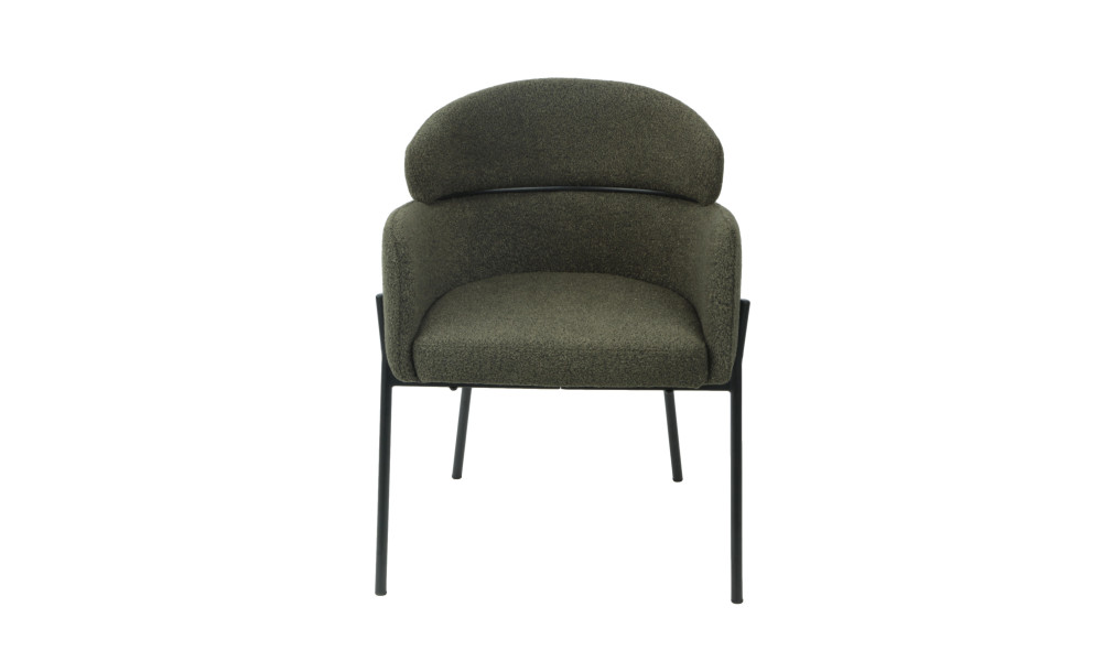 CANTON - Lot de 2 fauteuils de séjour Vert foncé 