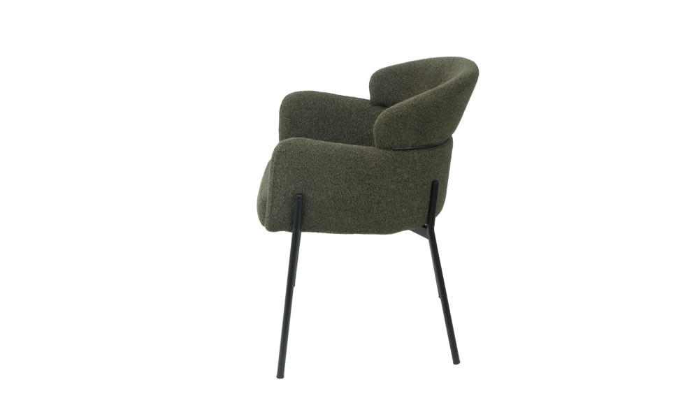 CANTON - Lot de 2 fauteuils de séjour Vert foncé 